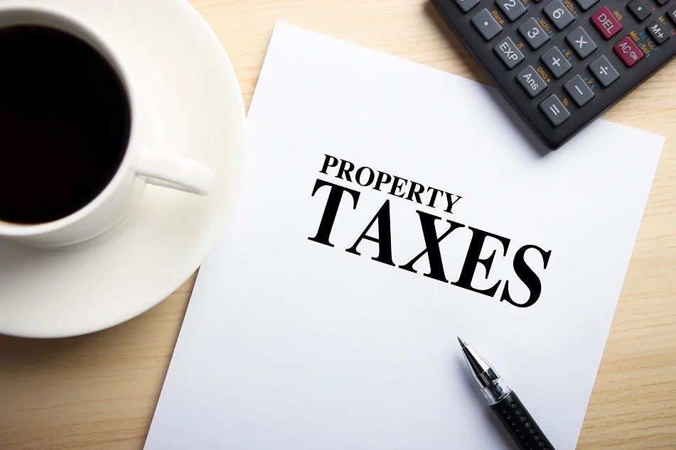 Real Estate Professional - Property Taxes